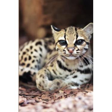 Imagem de Caderno Margay: diário de gato selvagem incrível diário pautado pela faculdade | 120 páginas | Tamanho 15 x 23 | Presente