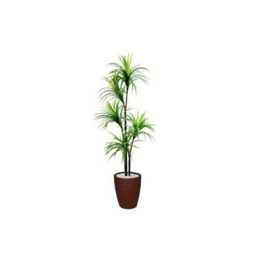 Imagem de Planta Artificial Para Sala Árvore Yucca 1,60m Kit + Vaso E. Marrom 32