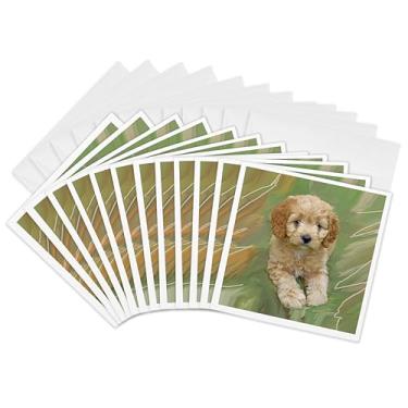 Imagem de 3dRose Filhote de poodle miniatura – Cartões comemorativos, 15 x 15 cm, conjunto de 12 (gc_4815_2)