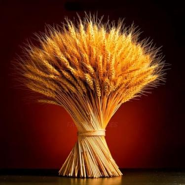 Imagem de Hastes de Trigo Seco para Decoração Arranjos Mesa Casamento Artesanato Natural Elegante(200)