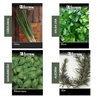 Imagem de Kit 4 Sementes Temperos Horta Em Casa Jardins Vasos (Cebolinha, Salsinha, Manjericão, Alecrim)