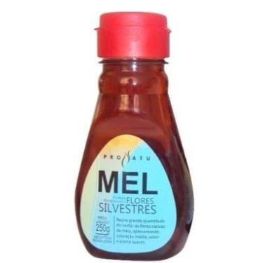 Imagem de Mel Pronatu Flores Silvestres 250G