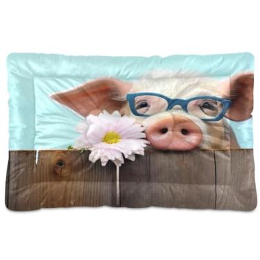Imagem de Wassud Blue Glasses Cama de Porco para Cachorro Grande Cama para Cachorro Exterior Tapete Lavável Cama para Animais de Estimação Cama de Gato para Dormir Viagem 91 cm x 61 cm