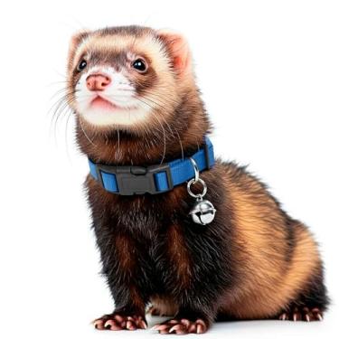 Imagem de Marshall Pet Products Coleira de sino, (azul)