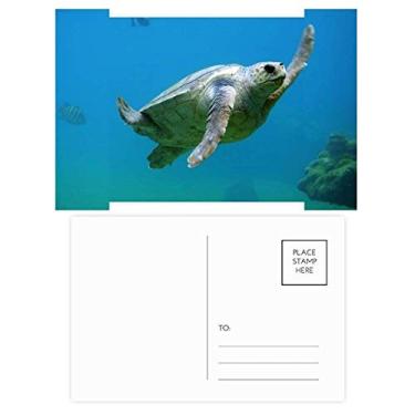 Imagem de Cartão postal de celebração de flores natalinas com estampa de tartaruga oceano e animais marinhos