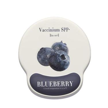 Imagem de Suporte de pulso 3D Mouse Pad Blueberry 25,3 x 23 cm Soft Milk Silk - 