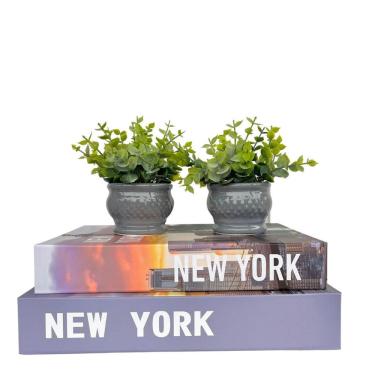 Imagem de Decoração sala dois livros New York + dupla vaso cachepot