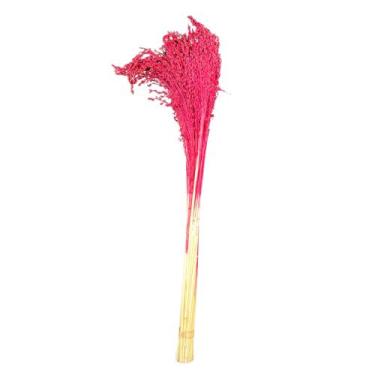 Imagem de Buquê Flor De Vassoura Cores Natural Arranjo Decoração Festa - Inspira