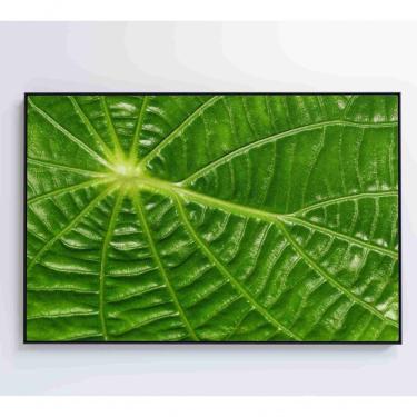 Imagem de Quadro Folha Floresta Amazônica Medidas 90x60 Cm Impressão Adesivo Fotográfico
