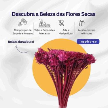 Imagem de Cebolão Rosa Desidratado - Pense Flores