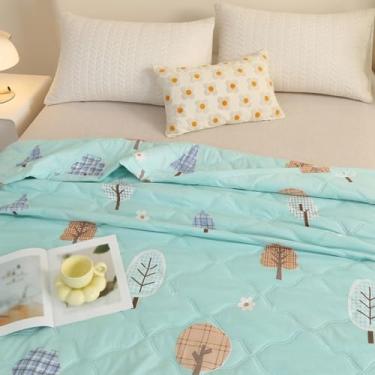 Imagem de EESCZVGBDX Colcha de verão tamanho Queen - edredom King acolchoado estampado lavável - leve e respirável, simples, climatizado, colchas adequadas para a pele, cobertores de cama