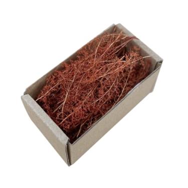 Imagem de Generic Paisagismo de grama em miniatura realista, modelo de tufo espesso, jardim de fadas, terreno para trens ferroviários, dioramas, jardim de fadas, Bordo Vermelho