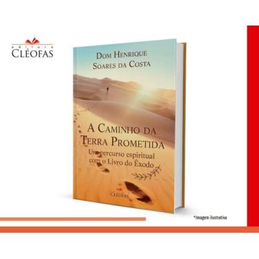 Imagem de Livro Cristão A Caminho da Terra Prometida - Prof. Felipe Aquino