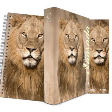 Imagem de Kit Leão no Campo Trigo - Planner + Bíblia Capa Dura NAA + Marca Página