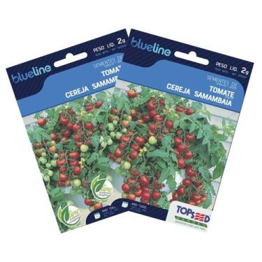 Imagem de 2X Sementes de Tomate Cereja Samambaia Blueline TOPSEED