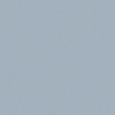 Imagem de Papel de Parede Vinílico Liso céu revoada 4427 53x1000 - BOBINEX