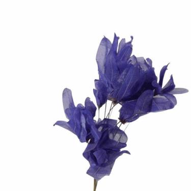 Imagem de Planta Seca Pimentinha no Espeta Lilás - Pense Flores