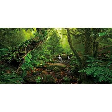 Imagem de Yeele Cenário de Floresta Selva Primavera 25 x 3 pés para Fotografia Árvores Floresta Encantadas Natureza Paisagem Fundo Adulto Aventura Safári Festa de Aniversário Decoração Infantil Retrato de Bebê Atirar Studio Adereços