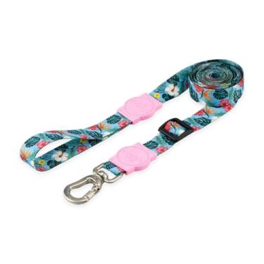 Imagem de Mood Pet Coleira Guia Retrátil Para Cães Cachorro Adestramento Passeio Porte Grande Médio Pequeno (Sunny Rose, P)