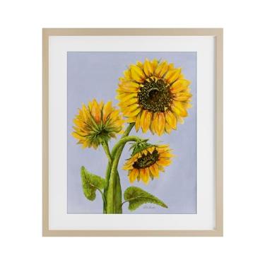 Imagem de Stupell Industries Impressão emoldurada trio de girassol contra bétula azul sob vidro, design de Patti Bishop, 53 x 43 cm