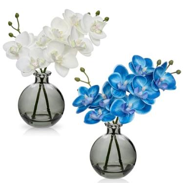 Imagem de Oairse Orquídeas azuis e brancas, flores artificiais, arranjo de orquídeas artificiais com vaso de vidro preto, conjunto de 2 peças centrais de orquídeas Phalaenopsis de toque real para mesa de sala