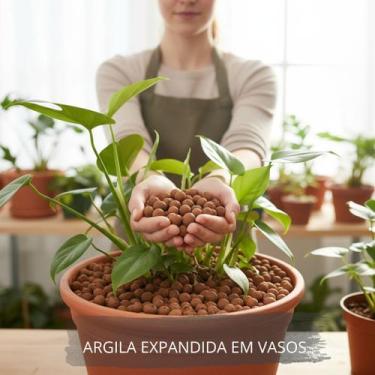 Imagem de Argila Expandida 2kg Drenagem Para Vasos Jardinagem Plantas - o mundo 