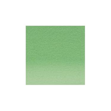 Imagem de Lapis Pastel Derwent P430 Pea Green