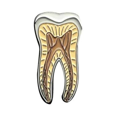 Imagem de Broche Esmaltado de Anatomia Renal - Joia Médica para Médicos e Enferm