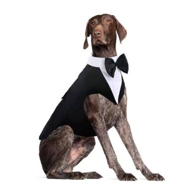 Imagem de Tuxedo para cães DORA BRIDAL XL, terno formal grande e gravata borbole
