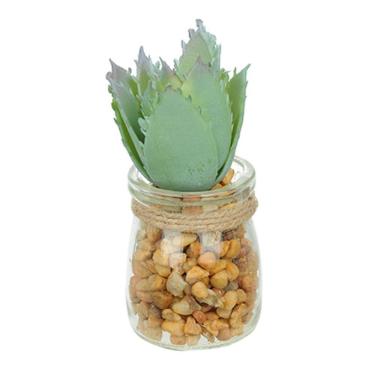 Imagem de Vaso Com Suculenta Folha Alta Verde Claro 10X7 Cm - Du0027Rossi