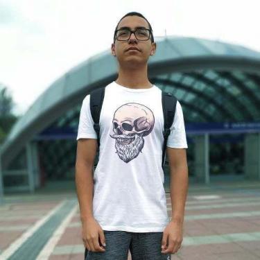 Imagem de Camiseta Caveira Barbada Swag Esqueitista Camisa Skull - Vetor Camisar