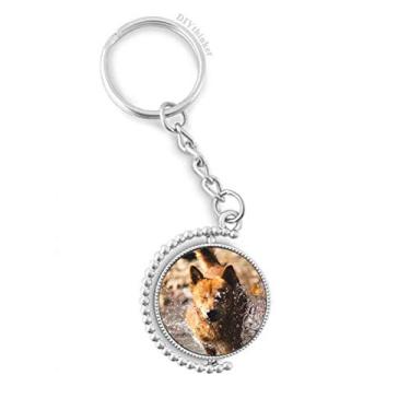 Imagem de Chaveiro giratório para fotografia de animal fofo, acessório de disco para acessórios de corrente