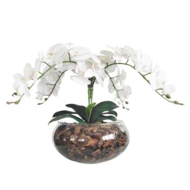 Imagem de Arranjo No Vaso Terrário de Vidro 4 Orquídeas Branca Real - La Caza St