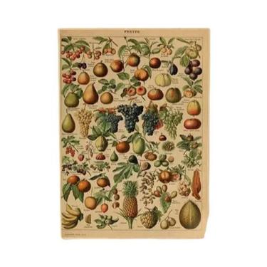 Imagem de Cartazes Vintage com Estampa de Cogumelos, Frutas e Vegetais - Arte Bo