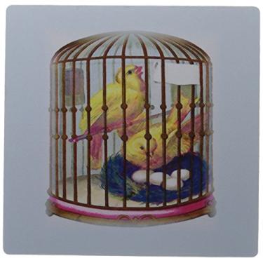 Imagem de 3dRose Mouse pad 20,3 x 20,3 x 0,63 cm, linda pintura vintage de canários em uma gaiola de pássaros (mp_119758_1)
