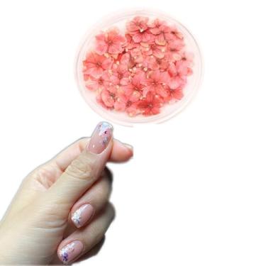 Imagem de 1 caixa 50 peças de flores de secagem de unhas, DIY, arte de unha 3D, tema de planta, forma irregular, adesivos de flores adequados para cuidados e decoração de unhas naturais pequenas, acessórios