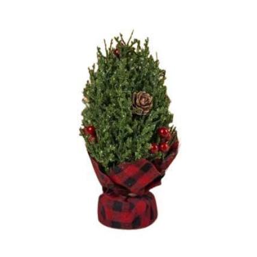 Imagem de Árvore de Mesa Mini 18cm Vermelha e Verde para Decoração Natalina - no