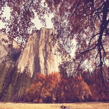 Imagem de Quadro Decorativo Yosemite Outono Paisagem Natureza Artesanal para Parede Tamanho 50x50cm