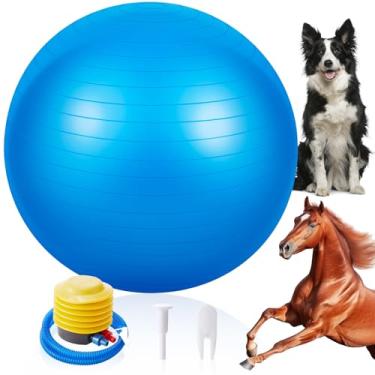 Imagem de Suilung Bola de pastoreio gigante de 122 cm com bola anti-explosão, assista ao videocassete para inflar brinquedos de cavalo para brincar de entretenimento, bomba incluída