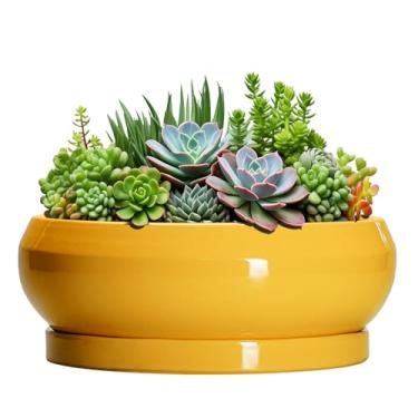 Imagem de EPFamily Vasos de bonsai de cerâmica, vaso de 25 cm com orifícios de drenagem e pires, amarelo brilhante