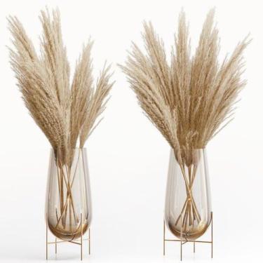 Imagem de Capim Dos Pampas Decor Moderno Natural - Pinterest 8 Hastes - Maço Nat