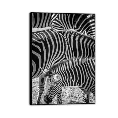 Imagem de SDYJ6GSW Imagens de animais em preto e branco para decoração de parede, rebanho de zebra, animais pretos e brancos, impressão de imagem de cavalo pintura de arte de parede zebra para sala de estar 42