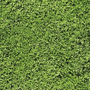 Imagem de HelloWall Papel de parede para descascar e colar de grama de 43 cm - papel de parede botânico texturizado verde para paredes e armários