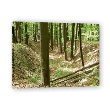 Imagem de Tronco de árvore ramificado, paisagem de floresta panorâmica, arte de parede em tela premium, decoração de natureza relaxante para sala de estar 30 x 39 cm emoldurada