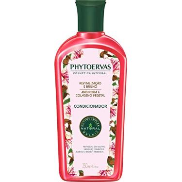 Imagem de Phytoervas Condicionador Uso Diário 250 Ml Revitalização E Brilho