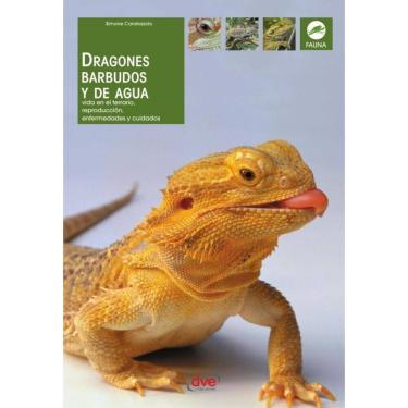 Imagem de Dragones barbudos y de agua  - Espanhol