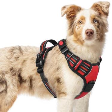 Imagem de Dog Harness rabbitgoo atualizado no Pull Red para cães médios