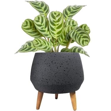 Imagem de Elly Décor, Vaso de fibra cônica de 48 cm, design de salpicos com pernas, leve, extremamente durável | Vaso de jardim | Vaso para pátio, ambientes internos e externos | 48 x 33 cm preto