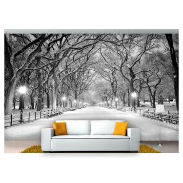 Imagem de Papel De Parede Cidade Central Park Inverno Ncd182 - Você Decora