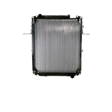 Imagem de Kit Radiador Ford Cargo 1717E 10/ com Aditivo Paraflu Rosa Conc 1L